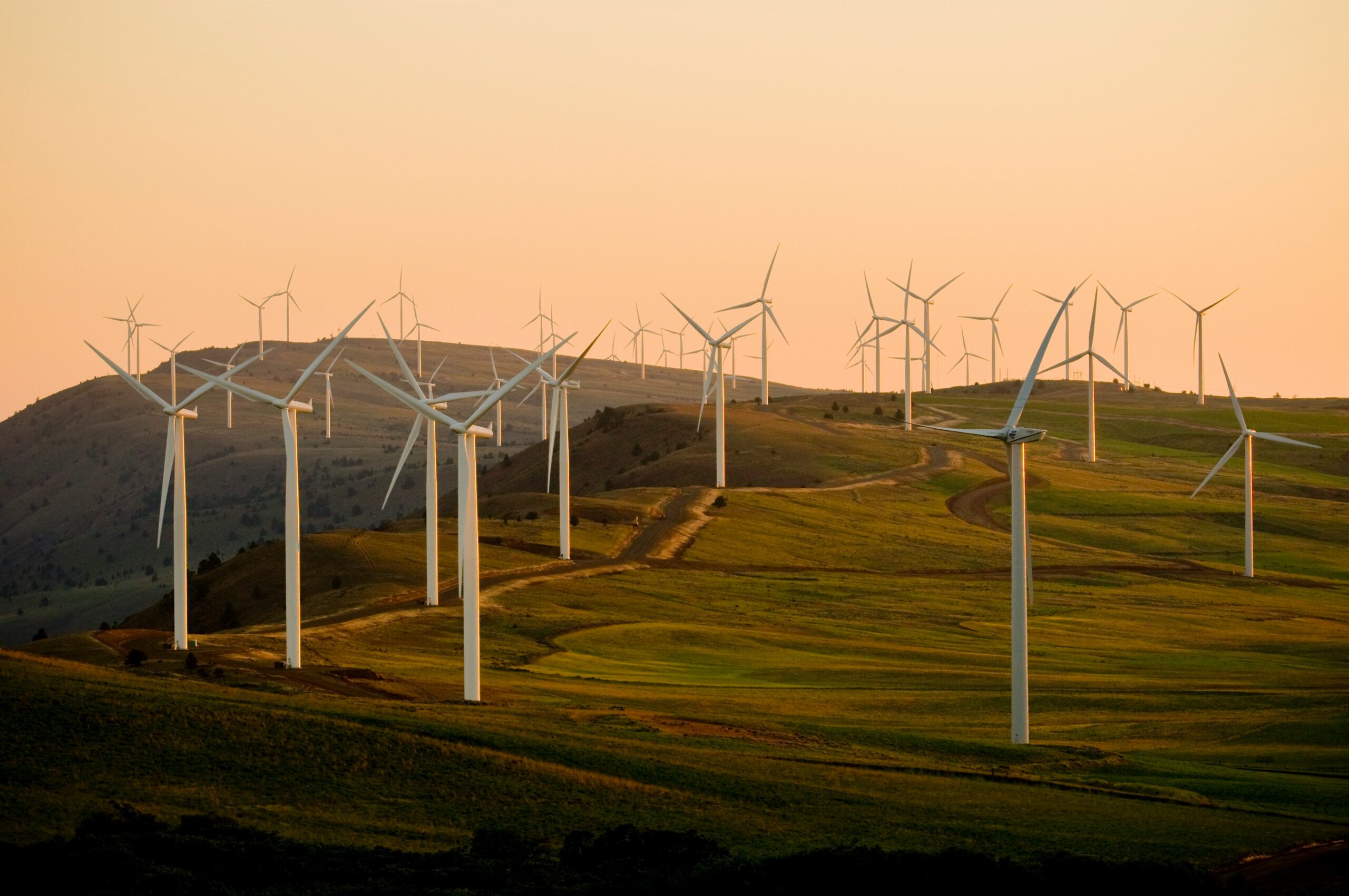 american public power association eibth5dxw9w unsplash