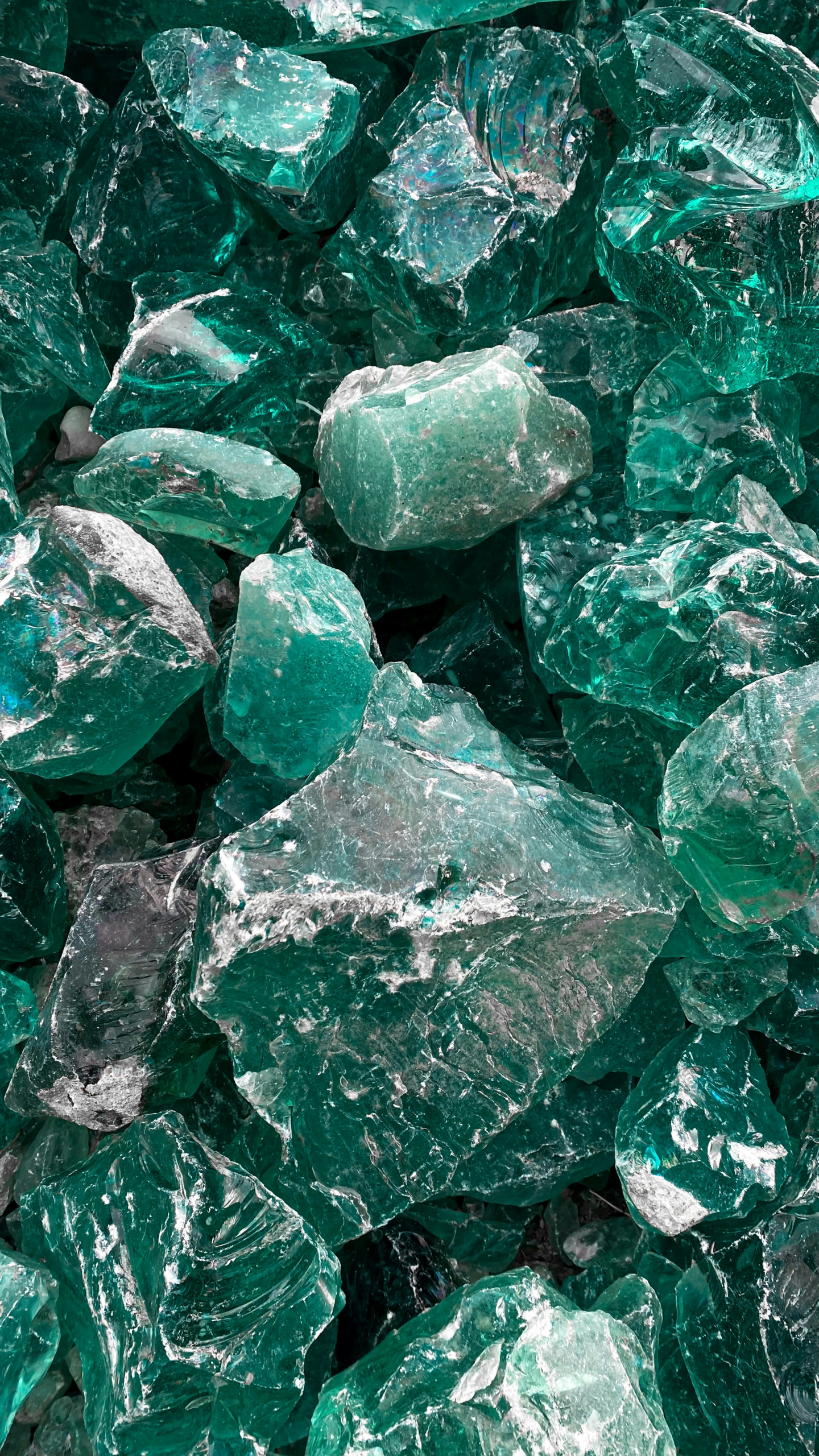 aleksandr buynitskiy coiej9aupbu unsplash.webp