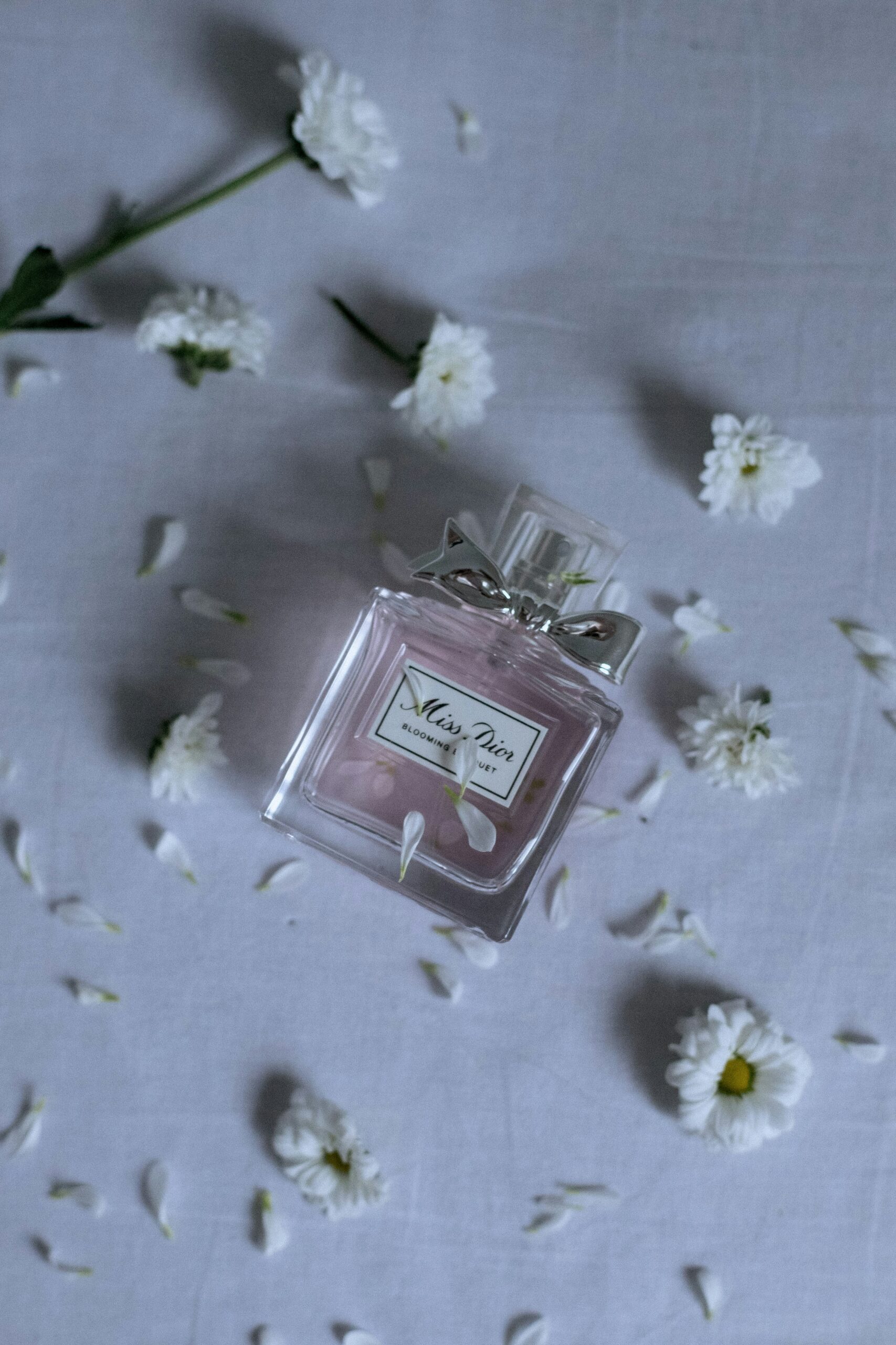 alsu vershinina eau1kzv1q9q unsplash