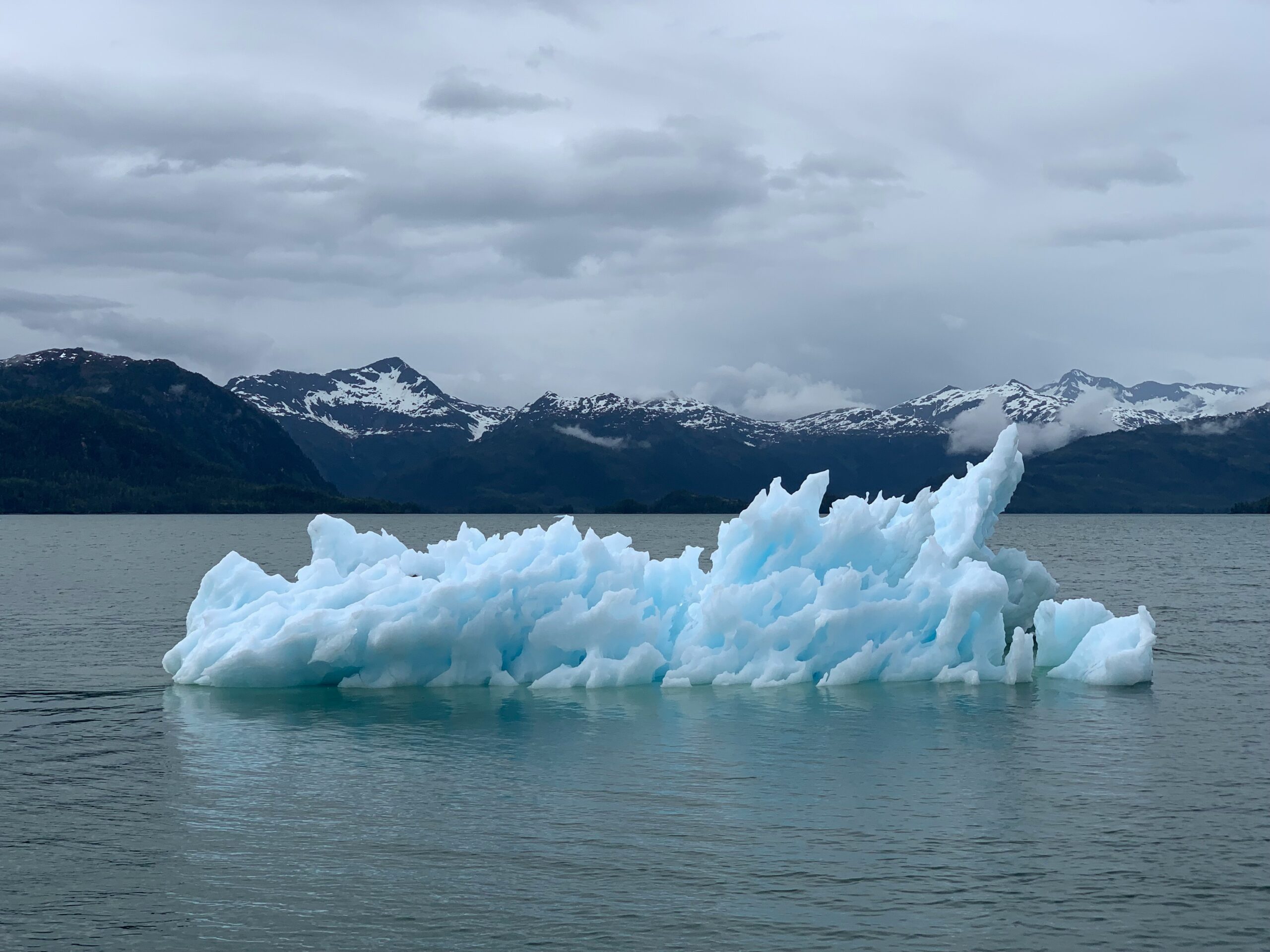 melissa bradley 96iwiaxoujw unsplash