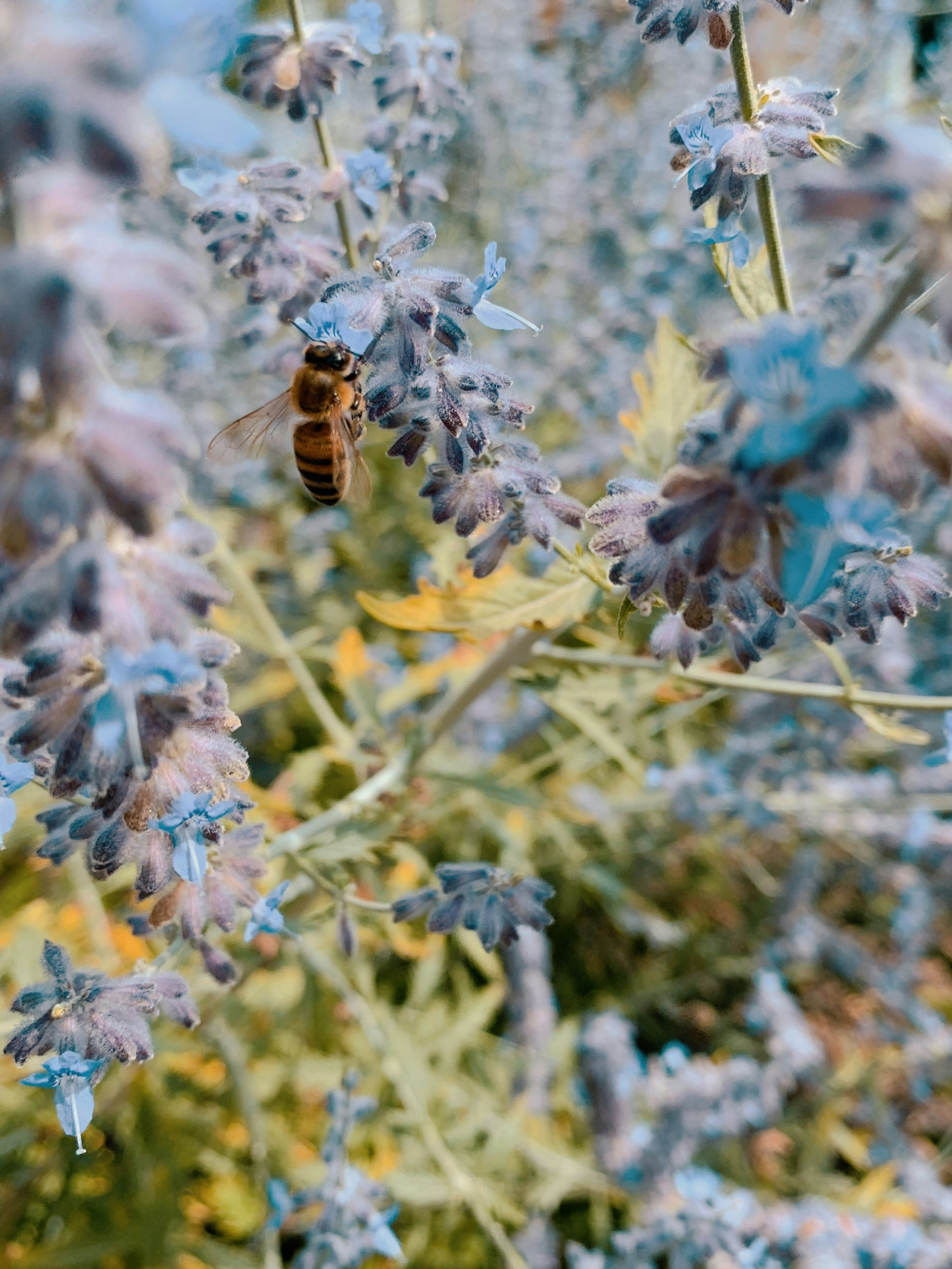 raine 0oae09kgnyq unsplash.webp